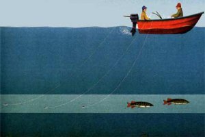 Озеро Сандал – место для рыбака