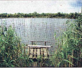 Терновский  пруд
