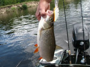Рыбалка на речке Рось