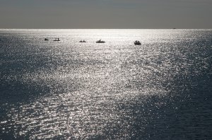 Ловля кефали на чёрном море
