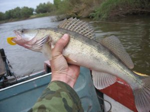 Рыбалка на реке Тьме