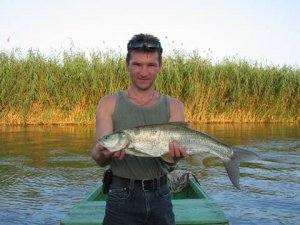 Рыбалка на реке Волге