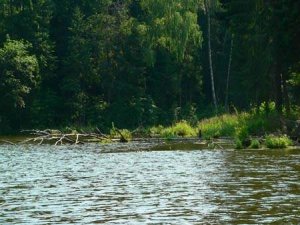 Рыболовные угодья восточной Эстонии