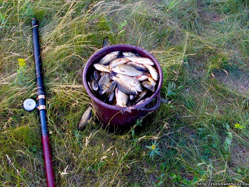 Рыбалка на карася на озерах