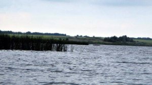 Рыбалка в Воронежской области