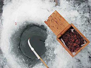 Как добыть наживку для зимней рыбалки