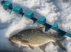 Особенности рыбалки на озере в зимнее время