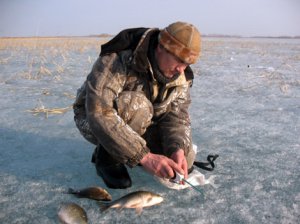 Зимняя рыбалка: Ловим карася