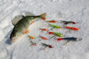 Зимняя рыбалка на балансир
