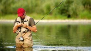 Как правильно ловить рыбу