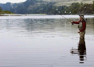 Рыбалка в алтайском крае
