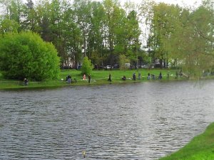 Рыбачим в Ленинградской области