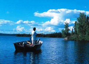 Рыбалка в Ленинградской области