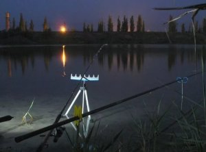 Ночная летняя рыбалка и как к ней подготовиться