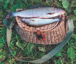 Рыбалка в Архангельской области 