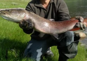 Рыбалка в Монголии