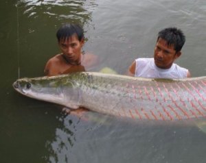 Рыбалка в Паттайе 